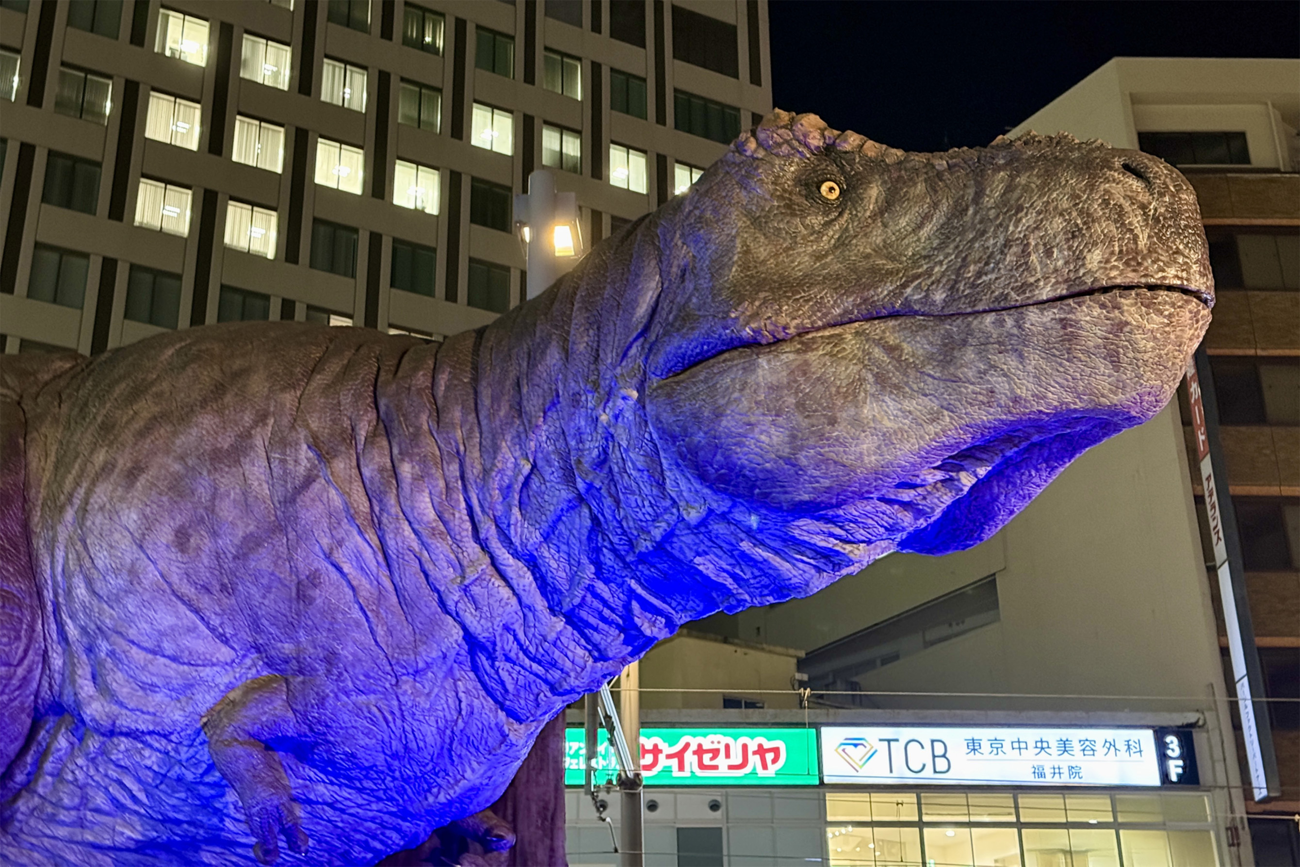 福井県